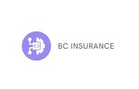 bc ins logo.png